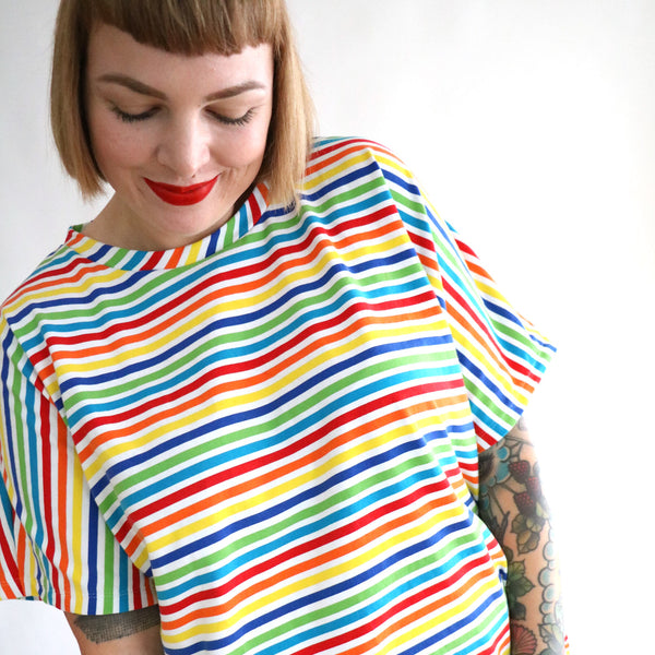 1,5m Small Stripes Jersey / rainbow