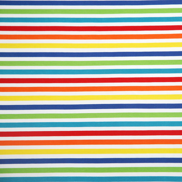 Small Stripes Jersey / rainbow